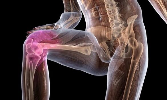The joint signs and symptoms of the knee joint